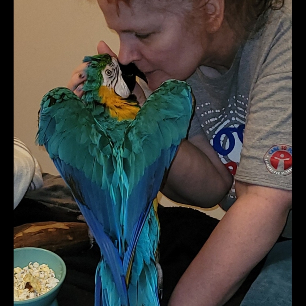 Max Surgery Fund! Come shop our live show - Lularoe and Jeans theme!  L-XL-2X